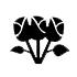 ikonka